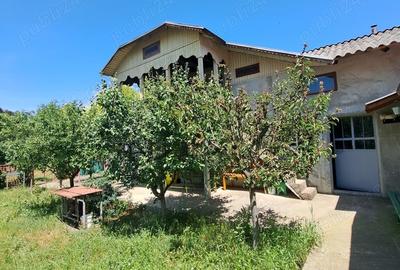 Vand casa de locuit Sp+P+E cu anexe gospodaresti in sat Caldarasti, com.Pogoanele, Buzau - 6
