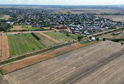 Teren 5,000mp Vanatori - 2