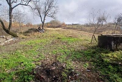 Casă cu 3 camere cu Teren 5581 Mp în Zorile - 8