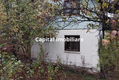 Casa Veche, Central Drajna de Jos 5000 mp - 4