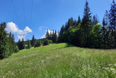 Predeal-Teren intravilan de vanzare - 1