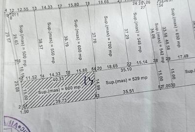 Teren de 600 mp, în Șura Mare - 4