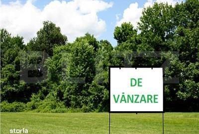 Teren de 4500 mp, în Dumbrăveni