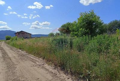 COMISION 0%! Teren 712mp Sacele / Strada Postavarului - 7