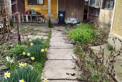 Casă cu 3 camere în Băneasa - 3