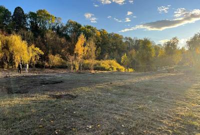 Spațiu comercial, în Central - 1