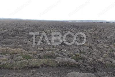 Teren de 10000 mp, în Central - 1