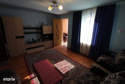Casă cu 2 camere în Peștișu Mare - 14