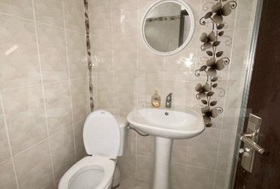 Casa Bontida cu mai multe anexe de inchiriat pe parcursul festivalului Electric - 13