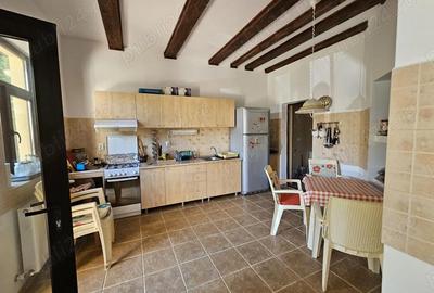 Casă cu 5 camere cu Teren 6842 Mp în Brădetu - 3