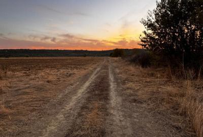 Teren extravilan 5000 , 2,5 euro mp BREASTA - 3