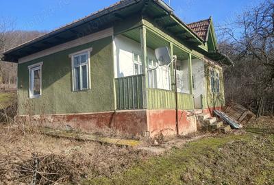 Casă în Blăjani - 7