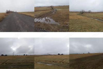 Teren situat in Com. Vlahita, jud. Harghita - 4