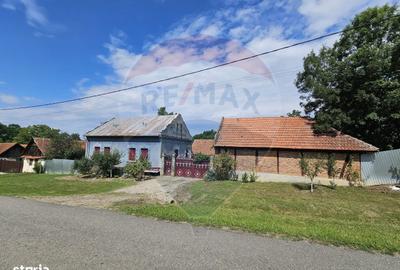 Casă cu 5 camere cu Teren 4484 Mp în Balinț - 8