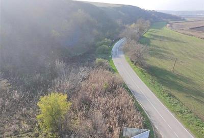 Teren de vanzare in Delta Dunarii loc. Nufaru - 6