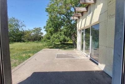 Casă cu 5 camere decomandat cu Teren 2155 Mp în Periam - 14