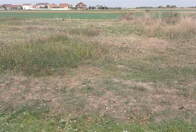 RECO Teren intravilan in Tarian RECO Teren intravilan in Tarian - 3