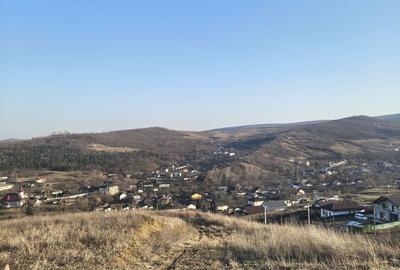Teren de 400 mp, în Tomești - 3