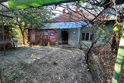 Bocsa Romana, 2 Corpuri de cladire cu Teren de 555 mp. si garaj, la sosea - 6
