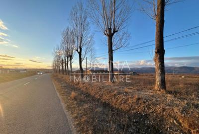 Hala si teren 2,5 ha - infrastructura industriala - 14