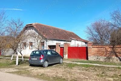 Casă cu 3 camere cu Teren 1500 Mp în Nădab - 1