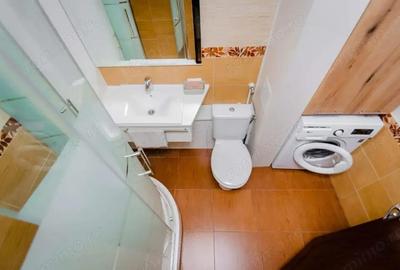 De inchiriat garsoniera zona Lipovei - 3