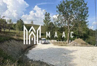 Teren Construcții intravilan de 14242 mp, în Sohodol - 10