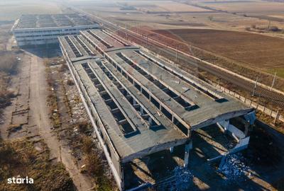 Teren de 135000 mp, în Turdaș - 6