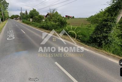 Teren Construcții intravilan de 5000 mp, în Ciorogârla - 4