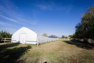 Casă cu 2 camere în Zădăreni - 3