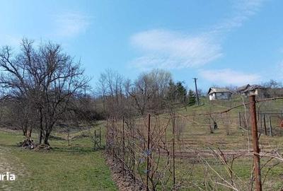 Casă cu 3 camere cu Teren 120 Mp în Cotmeana - 1