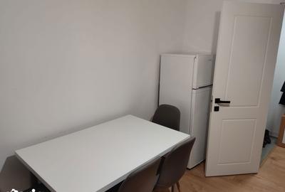 Apartament cu 2 camere, mobilat în George Enescu - 2