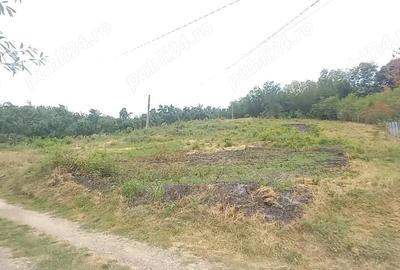 Teren de 2856 mp, în Central - 1