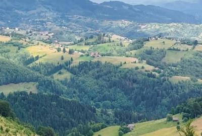 Teren de 1000 mp, în Șirnea - 3