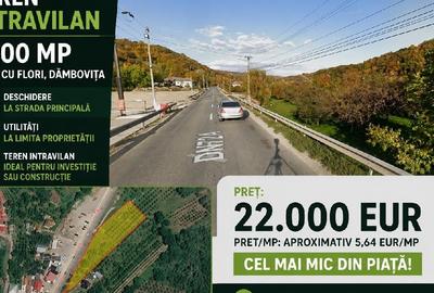 Teren Construcții intravilan de 3900 mp, în Malu cu Flori