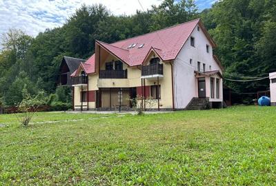 Hotel/Pensiune, 400 mp în Lepșa - 2