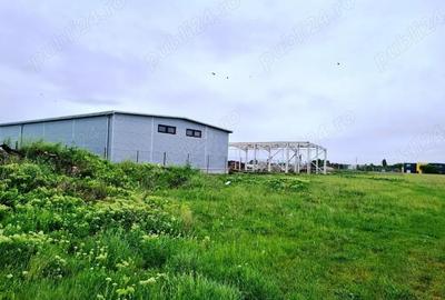 Vanzare Teren Industrial 3000mp Magurele Vanzare Teren Industrial 3000mp Magurele - 3