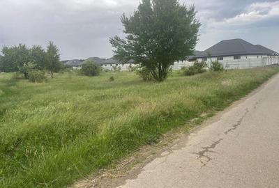 Teren Construcții intravilan de 5000 mp, în Tamași - 2