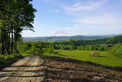 Teren 15,000mp Sighetu Marmatiei / Strada Mocani?ei - 4