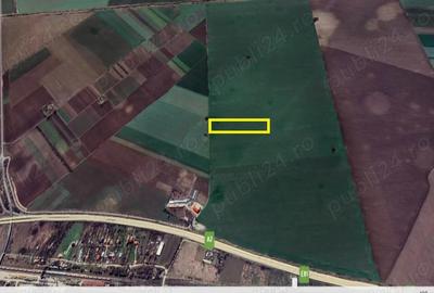 Teren 27.600 mp pretabil industrial Autostrada Soarelui (A2), Fundulea - 3