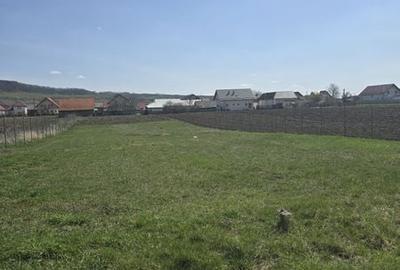 Teren de 1400 mp, în Satu Mare - 3