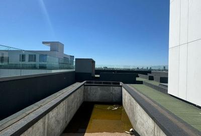 PENTHOUSE CU PISCINA AVIATIEI + CADOU APARTAMENT 2 CAMERE!!! - 17