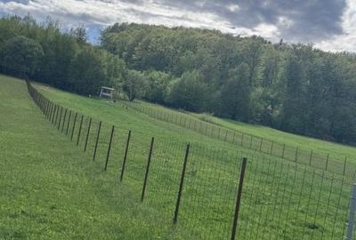Teren intravilan, 2500mp, Voievodeasa, Marginea