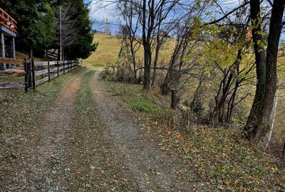 Casa de poveste in satul Pestera, Moeciu Brasov - 9
