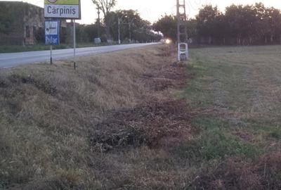 Spațiu comercial, în Cărpiniș - 40