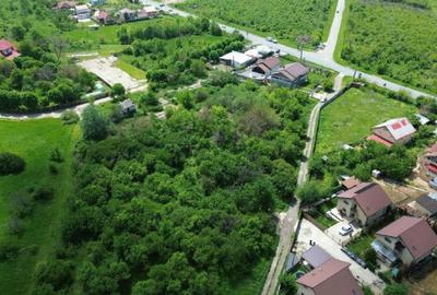 Teren intravilan 4.300 mp - Aninoasa, Dâmbovița | COMISION 0% - 7