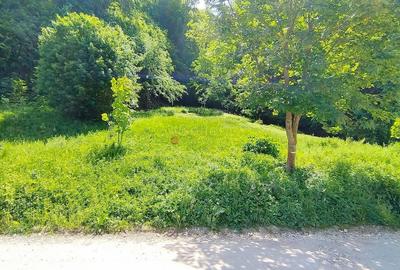 Teren Construcții intravilan de 1000 mp, în Bunloc - 4