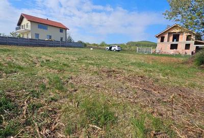 Casă în Central - 3