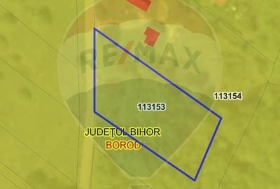 Teren agricol intravilan de 1700 mp, în Borod - 2