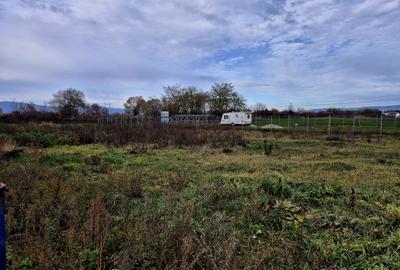 Teren constructie hala/depozit/mica insdustrie/service auto, Halchiu - 9